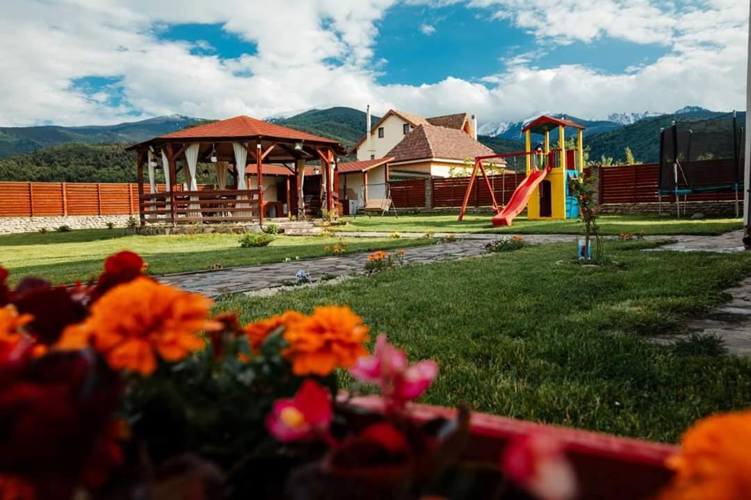 Pensiunea Sophia Statiunea Climaterica Sambata Dış mekan fotoğraf